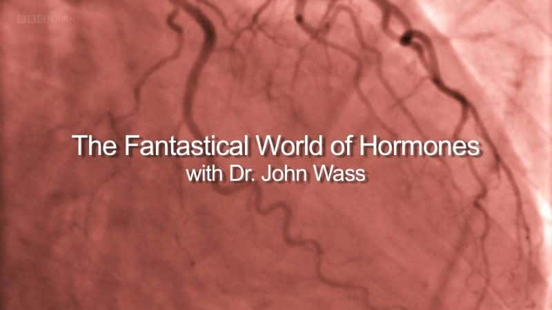 外语原版纪录片《荷尔蒙的奇幻世界 (BBC 1080p)/The Fantastical World of Hormones (BBC 1080p) 》原版无字/外挂字幕 - 纪录片1080P/720P/360P高清标清网盘迅雷下载