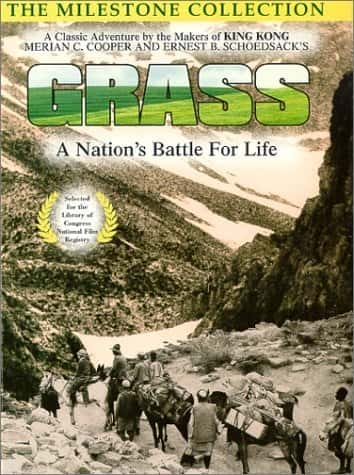 外语原版纪录片《草 - 国家为生命而战/Grass - A Nations Battle for Life 》原版无字/外挂字幕 - 纪录片1080P/720P/360P高清标清网盘迅雷下载