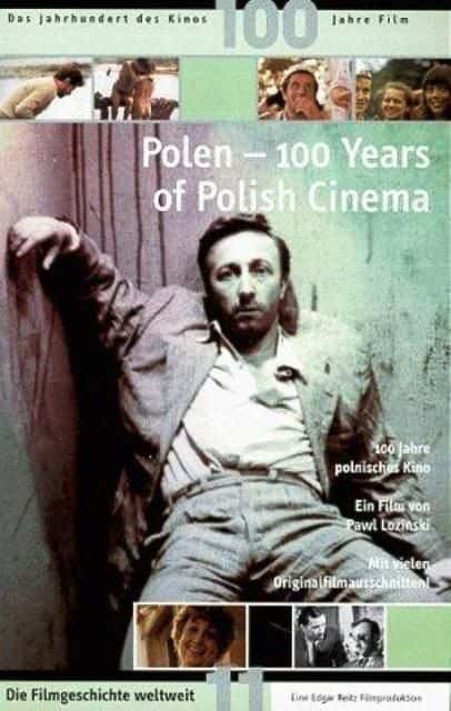 外语原版纪录片《波兰电影 100 年/100 Years of Polish Cinema 》原版无字/外挂字幕 - 纪录片1080P/720P/360P高清标清网盘迅雷下载