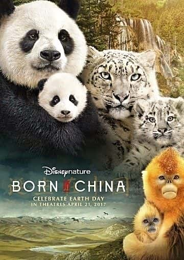 外语原版纪录片《生于中国/Born in China 》原版无字/外挂字幕 - 纪录片1080P/720P/360P高清标清网盘迅雷下载