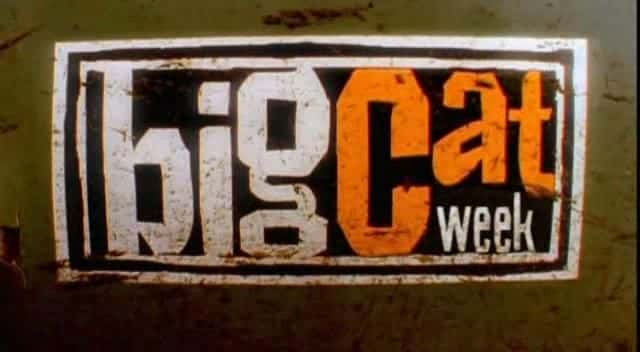 外语原版纪录片《大猫周/Big Cat Week 》原版无字/外挂字幕 - 纪录片1080P/720P/360P高清标清网盘迅雷下载