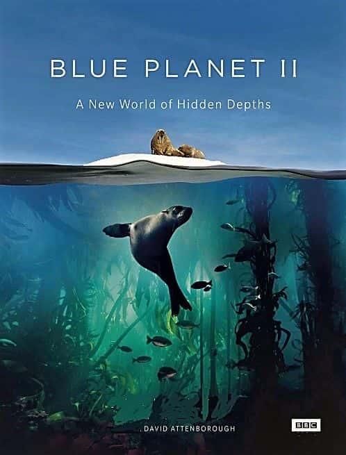 外语原版纪录片《蓝色星球 II：第 1 部分 同一个海洋/Blue Planet II: Part 1 One Ocean 》原版无字/外挂字幕 - 纪录片1080P/720P/360P高清标清网盘迅雷下载