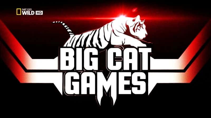 外语原版纪录片《大猫游戏/Big Cat Games 》原版无字/外挂字幕 - 纪录片1080P/720P/360P高清标清网盘迅雷下载