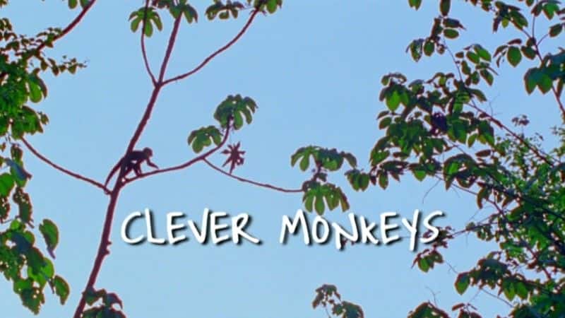 外语原版纪录片《聪明的猴子 (BBC)/Clever Monkeys (BBC) 》原版无字/外挂字幕 - 纪录片1080P/720P/360P高清标清网盘迅雷下载