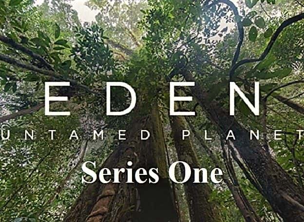 外语原版纪录片《伊甸园野蛮星球：系列 1/Eden Untamed Planet: Series 1 》原版无字/外挂字幕 - 纪录片1080P/720P/360P高清标清网盘迅雷下载
