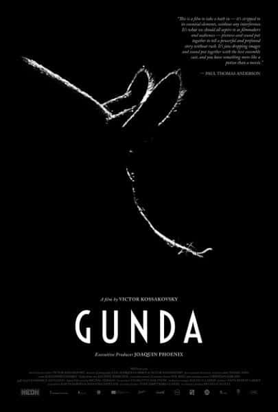 外语原版纪录片《Gunda：妈妈，猪/Gunda: Mother, Pig 》原版无字/外挂字幕 - 纪录片1080P/720P/360P高清标清网盘迅雷下载