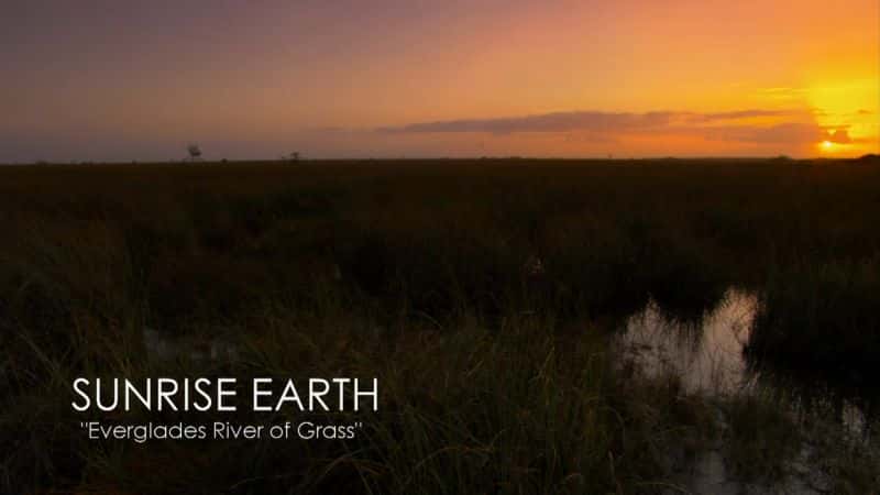 外语原版纪录片《大沼泽地草河/Everglades River of Grass 》原版无字/外挂字幕 - 纪录片1080P/720P/360P高清标清网盘迅雷下载