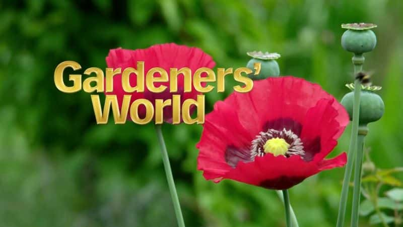 外语原版纪录片《园丁世界：系列 51/Gardeners World: Series 51 》原版无字/外挂字幕 - 纪录片1080P/720P/360P高清标清网盘迅雷下载