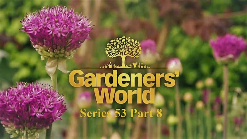 外语原版纪录片《园丁世界：系列 53 第 8 部分/Gardeners World: Series 53 Part 8 》原版无字/外挂字幕 - 纪录片1080P/720P/360P高清标清网盘迅雷下载