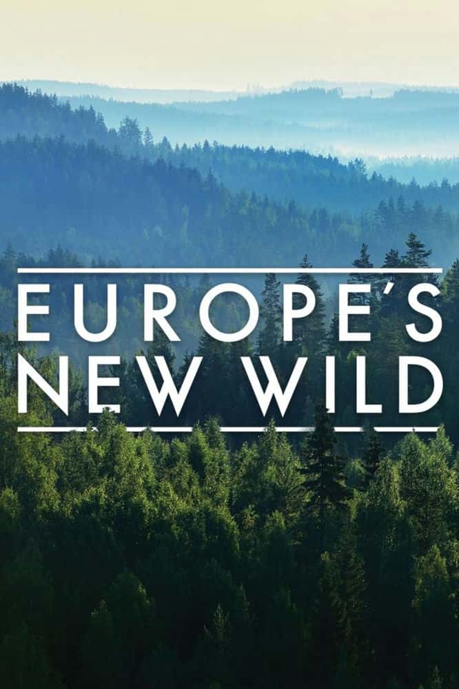 外语原版纪录片《欧洲新野：系列 1/Europes New Wild: Series 1 》原版无字/外挂字幕 - 纪录片1080P/720P/360P高清标清网盘迅雷下载