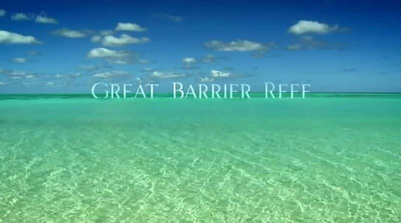 外语原版纪录片《大堡礁 (BBC)/Great Barrier Reef (BBC) 》原版无字/外挂字幕 - 纪录片1080P/720P/360P高清标清网盘迅雷下载