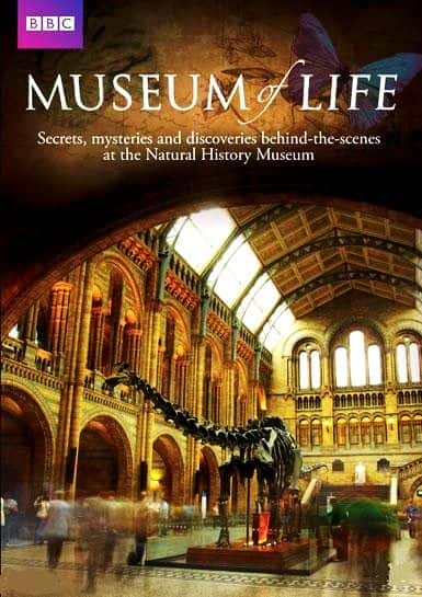 外语原版纪录片《生命博物馆/Museum of Life 》原版无字/外挂字幕 - 纪录片1080P/720P/360P高清标清网盘迅雷下载