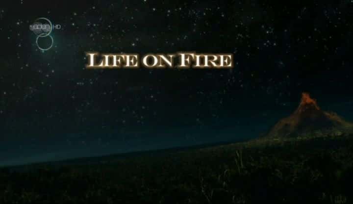 外语原版纪录片《火上浇油/Life on Fire 》原版无字/外挂字幕 - 纪录片1080P/720P/360P高清标清网盘迅雷下载