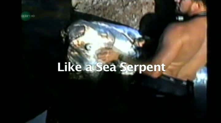 外语原版纪录片《像一条海蛇/Like a Sea Serpent 》原版无字/外挂字幕 - 纪录片1080P/720P/360P高清标清网盘迅雷下载