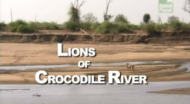 外语原版纪录片《鳄鱼河狮子/Lions of Crocodile River 》原版无字/外挂字幕 - 纪录片1080P/720P/360P高清标清网盘迅雷下载
