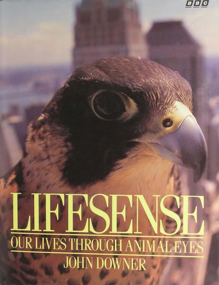 外语原版纪录片《生活感/Lifesense 》原版无字/外挂字幕 - 纪录片1080P/720P/360P高清标清网盘迅雷下载