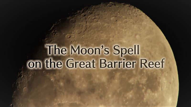 外语原版纪录片《大堡礁的月亮咒语/The Moons Spell on the Great Barrier Reef 》原版无字/外挂字幕 - 纪录片1080P/720P/360P高清标清网盘迅雷下载
