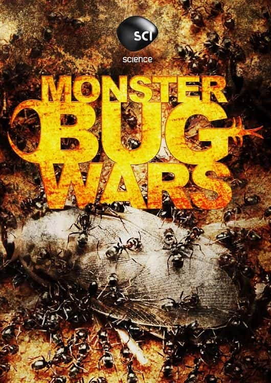 外语原版纪录片《怪虫大战/Monster Bug Wars 》原版无字/外挂字幕 - 纪录片1080P/720P/360P高清标清网盘迅雷下载