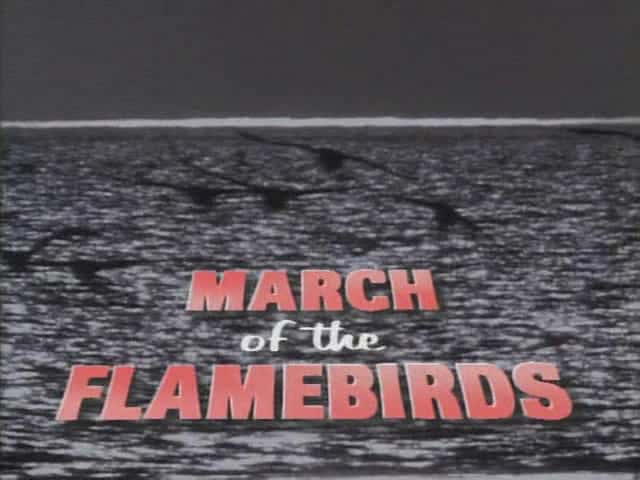 外语原版纪录片《火鸟进行曲/March of the Flamebirds 》原版无字/外挂字幕 - 纪录片1080P/720P/360P高清标清网盘迅雷下载