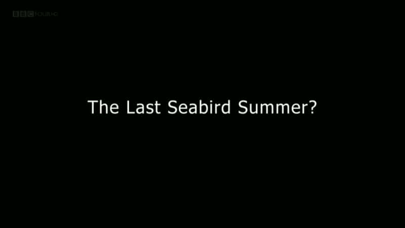 外语原版纪录片《最后的海鸟之夏？系列 1/The Last Seabird Summer? Series 1 》原版无字/外挂字幕 - 纪录片1080P/720P/360P高清标清网盘迅雷下载