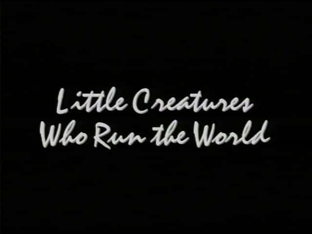 外语原版纪录片《统治世界的小动物/Little Creatures who Run the World 》原版无字/外挂字幕 - 纪录片1080P/720P/360P高清标清网盘迅雷下载