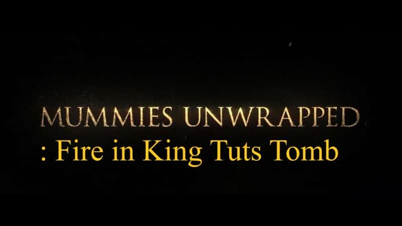 外语原版纪录片《打开木乃伊：图茨国王墓中的火灾/Mummies Unwrapped: Fire in King Tuts Tomb 》原版无字/外挂字幕 - 纪录片1080P/720P/360P高清标清网盘迅雷下载