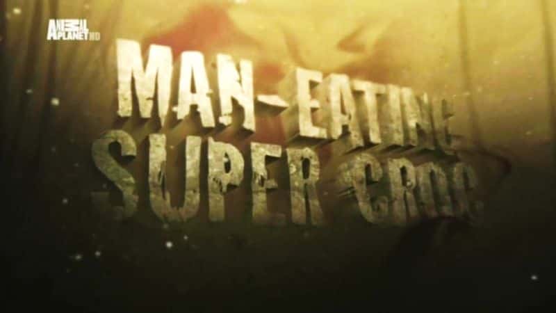 外语原版纪录片《吃超级鳄鱼的人/Man Eating Super Croc 》原版无字/外挂字幕 - 纪录片1080P/720P/360P高清标清网盘迅雷下载