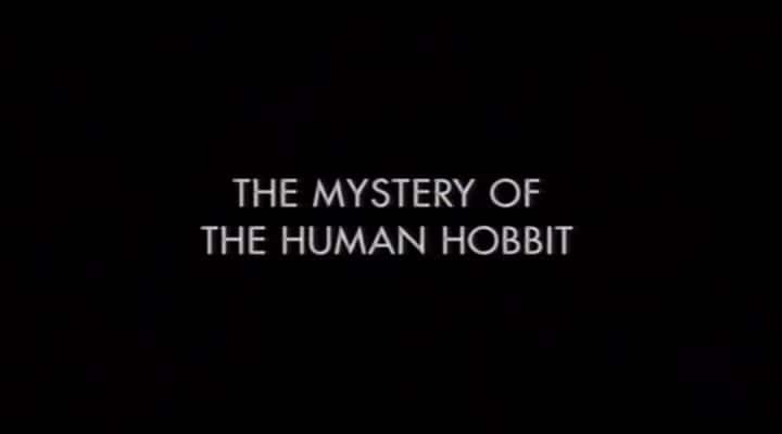 外语原版纪录片《人类霍比特人之谜/The Mystery of the Human Hobbit 》原版无字/外挂字幕 - 纪录片1080P/720P/360P高清标清网盘迅雷下载