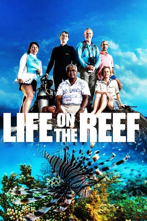 外语原版纪录片《礁石生活/Life on the Reef 》原版无字/外挂字幕 - 纪录片1080P/720P/360P高清标清网盘迅雷下载