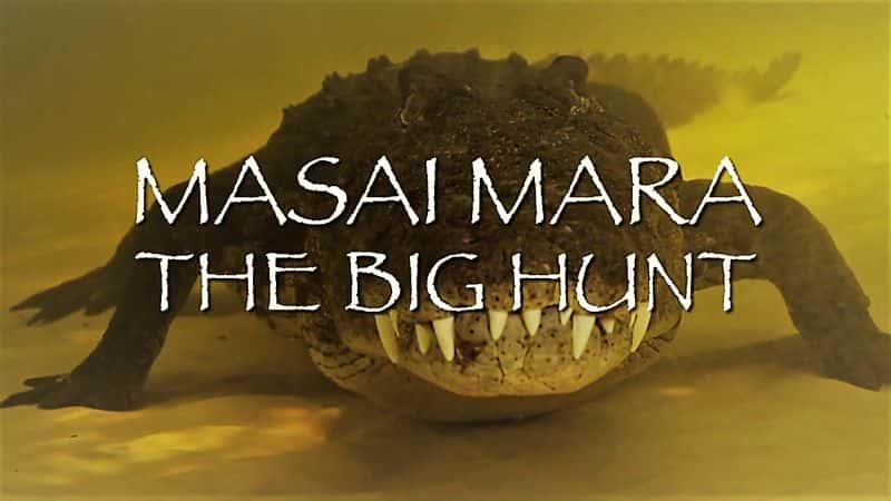 外语原版纪录片《马赛马拉：大狩猎/Masai Mara: The Big Hunt 》原版无字/外挂字幕 - 纪录片1080P/720P/360P高清标清网盘迅雷下载