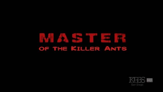 外语原版纪录片《杀手蚂蚁大师/Master of the Killer Ants 》原版无字/外挂字幕 - 纪录片1080P/720P/360P高清标清网盘迅雷下载