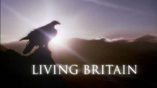 外语原版纪录片《生活英国/Living Britain 》原版无字/外挂字幕 - 纪录片1080P/720P/360P高清标清网盘迅雷下载
