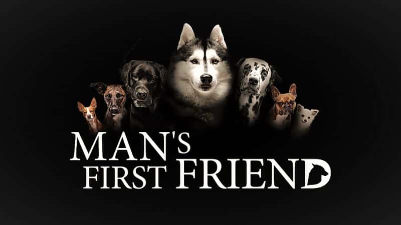 外语原版纪录片《人类的第一个朋友/Man's First Friend 》原版无字/外挂字幕 - 纪录片1080P/720P/360P高清标清网盘迅雷下载