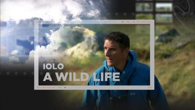 外语原版纪录片《Iolo：狂野的生活/Iolo: A Wild Life 》原版无字/外挂字幕 - 纪录片1080P/720P/360P高清标清网盘迅雷下载