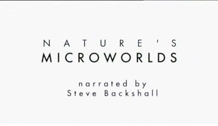 外语原版纪录片《大自然的微观世界/Nature's Microworlds 》原版无字/外挂字幕 - 纪录片1080P/720P/360P高清标清网盘迅雷下载