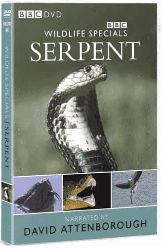 外语原版纪录片《蛇/Serpent 》原版无字/外挂字幕 - 纪录片1080P/720P/360P高清标清网盘迅雷下载