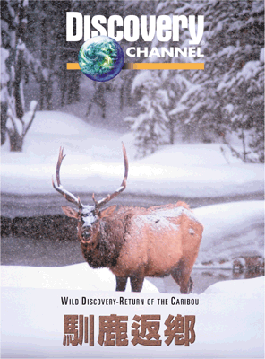 外语原版纪录片《驯鹿归来/Return of the Caribou 》原版无字/外挂字幕 - 纪录片1080P/720P/360P高清标清网盘迅雷下载