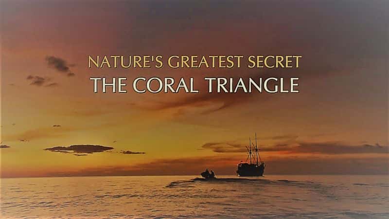 外语原版纪录片《Natures Greatest Secret 珊瑚三角系列 1/Natures Greatest Secret the Coral Triangle Series 1 》原版无字/外挂字幕 - 纪录片1080P/720P/360P高清标清网盘迅雷下载