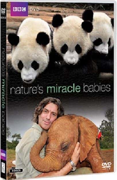外语原版纪录片《大自然的奇迹婴儿/Nature's Miracle Babies 》原版无字/外挂字幕 - 纪录片1080P/720P/360P高清标清网盘迅雷下载