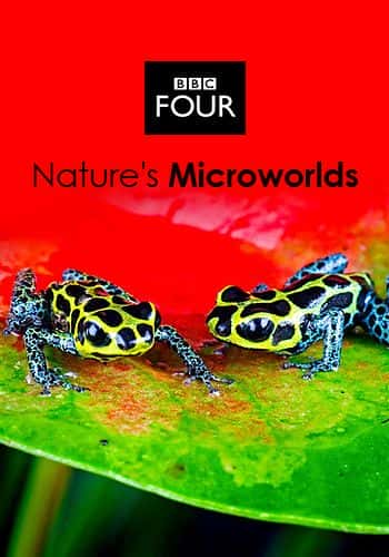 外语原版纪录片《大自然的微观世界 (BBC)/Nature's Microworlds (BBC) 》原版无字/外挂字幕 - 纪录片1080P/720P/360P高清标清网盘迅雷下载
