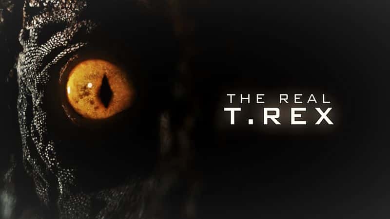 外语原版纪录片《事物的本质：真正的霸王龙/The Nature of Things: The Real T. Rex 》原版无字/外挂字幕 - 纪录片1080P/720P/360P高清标清网盘迅雷下载