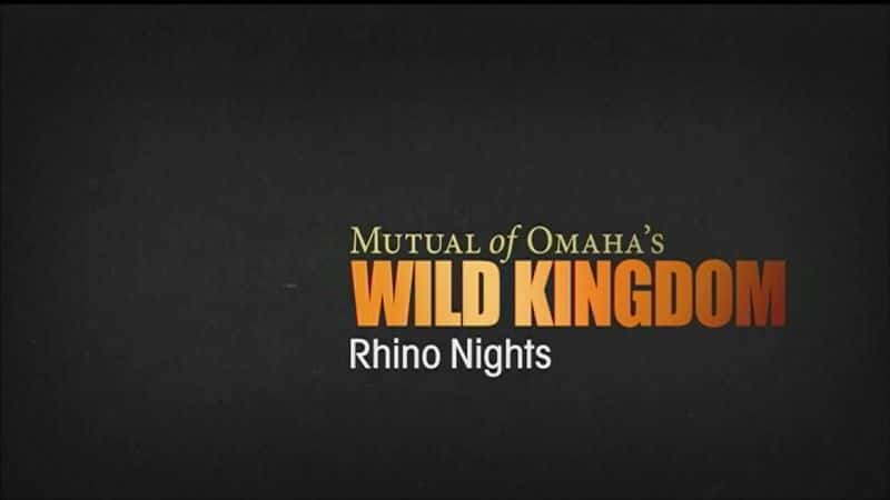 外语原版纪录片《犀牛之夜/Rhino Nights 》原版无字/外挂字幕 - 纪录片1080P/720P/360P高清标清网盘迅雷下载
