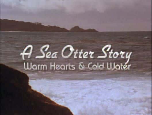 外语原版纪录片《海獭的故事/A Sea Otter Story 》原版无字/外挂字幕 - 纪录片1080P/720P/360P高清标清网盘迅雷下载