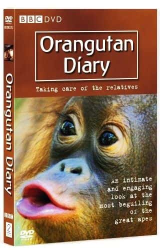 外语原版纪录片《猩猩日记：第 1 季/Orangutan Diary: Season 1 》原版无字/外挂字幕 - 纪录片1080P/720P/360P高清标清网盘迅雷下载