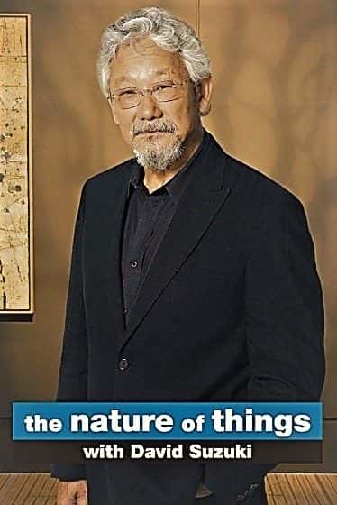 外语原版纪录片《Series.61 的事物本质/The Nature of Things with Series.61 》原版无字/外挂字幕 - 纪录片1080P/720P/360P高清标清网盘迅雷下载