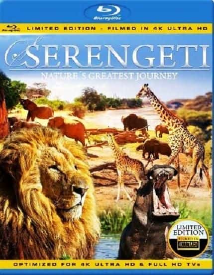 外语原版纪录片《塞伦盖蒂：大自然最伟大的旅程/Serengeti: Natures Greatest Journey 》原版无字/外挂字幕 - 纪录片1080P/720P/360P高清标清网盘迅雷下载