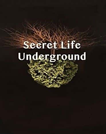 外语原版纪录片《地下秘密生活：系列 1/Secret Life Underground: Series 1 》原版无字/外挂字幕 - 纪录片1080P/720P/360P高清标清网盘迅雷下载