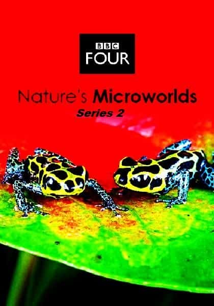 外语原版纪录片《大自然的微观世界：系列 2/Nature's Microworlds: Series 2 》原版无字/外挂字幕 - 纪录片1080P/720P/360P高清标清网盘迅雷下载