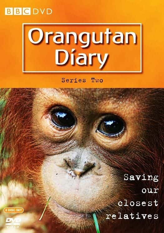 外语原版纪录片《猩猩日记：系列 2/Orangutan Diary: Series 2 》原版无字/外挂字幕 - 纪录片1080P/720P/360P高清标清网盘迅雷下载