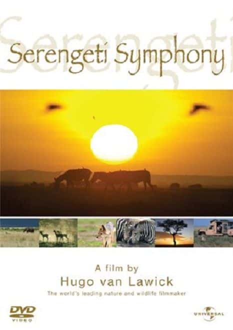 外语原版纪录片《塞伦盖蒂交响乐团/Serengeti Symphony 》原版无字/外挂字幕 - 纪录片1080P/720P/360P高清标清网盘迅雷下载